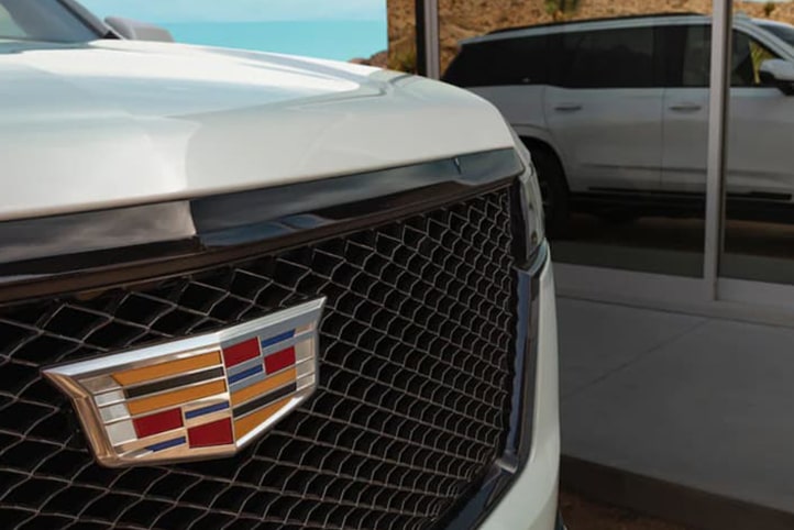 SPORT GRILLE