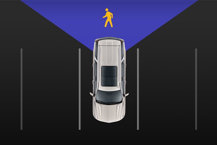 REAR PEDESTRIAN ALERT