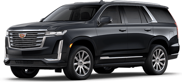 PREMIUM LUXURY PLATINUM