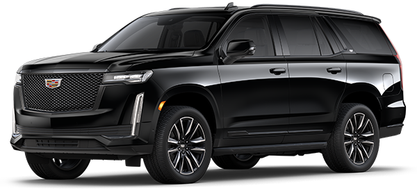 SPORT PLATINUM