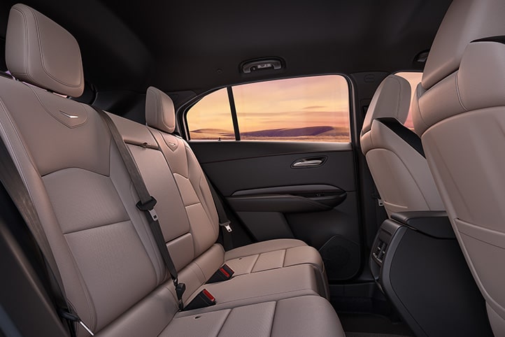 OCCUPANT DETECT FOR REAR SEAT