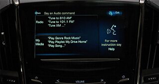 NATURAL VOICE RECOGNITION